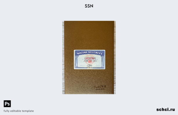 цифровая загрузка PSD файлов USA SSN, отсканированного изображения и сфотографир
